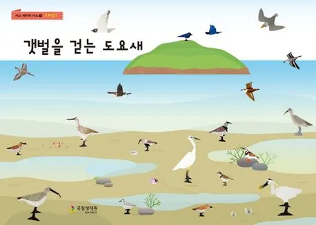 갯벌을 걷는 도요새 - 오려접기 표지